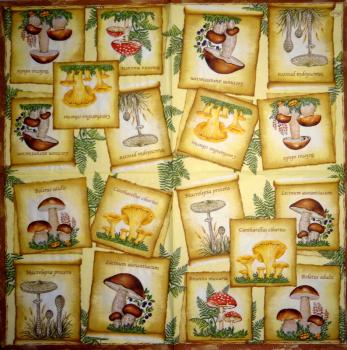 228 Herbst - 3-lagig - Maki